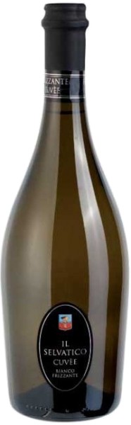 Вино игристое ”Фризанте Ка дель Додже Кюве Фьорозо” белое брют 0,75