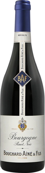 Bouchard Aine & Fils Bourgogne Pinot Noir – Бушар Эне & Фис Бургонь Пино Нуар