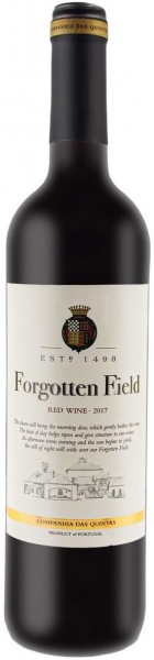 Forgotten Field – Фоготен Филд